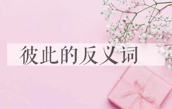 用彼此造句