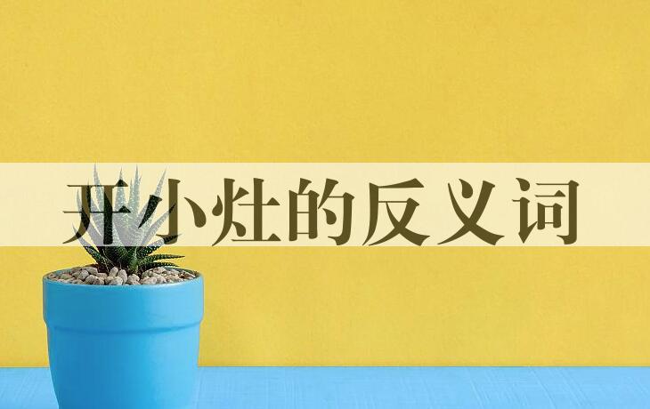 用开小灶造句