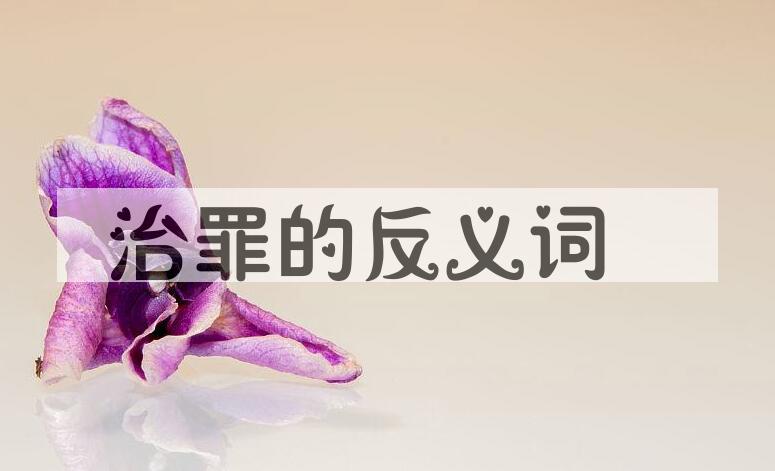 用治罪造句