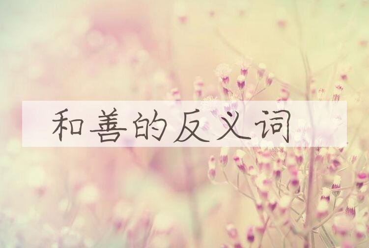 用和善造句