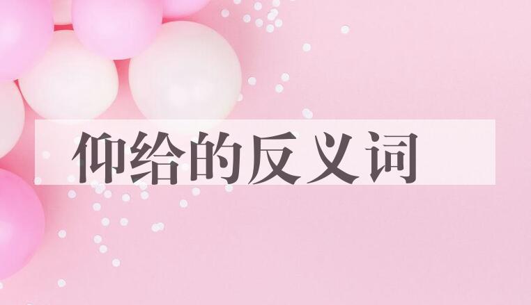 用仰给造句