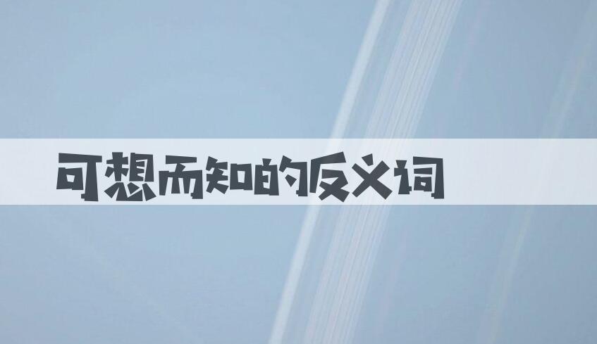 用可想而知造句