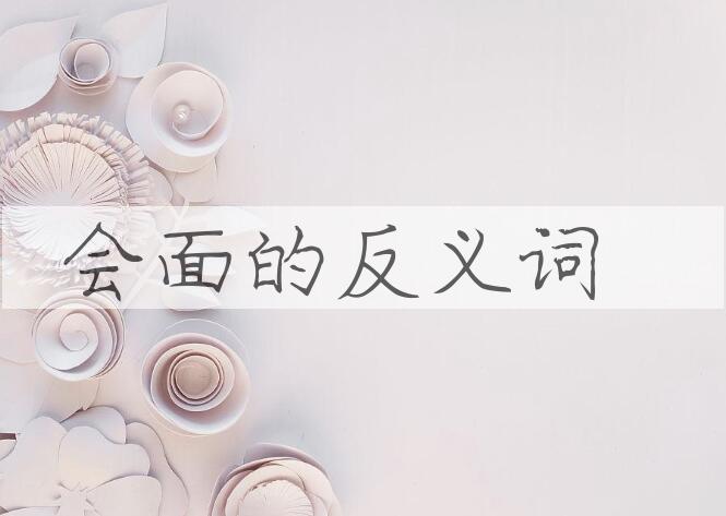 用会面造句