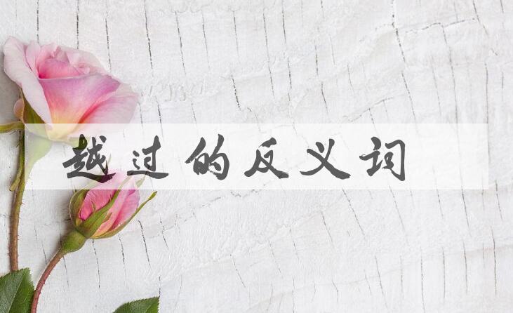 用越过造句