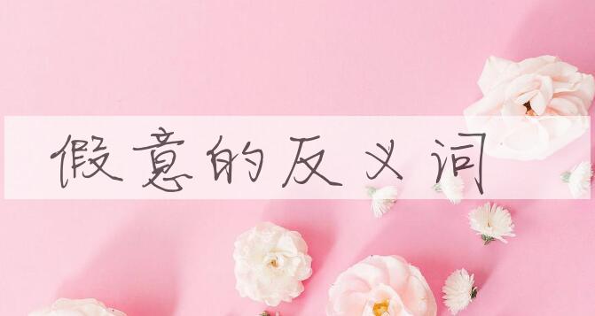 用假意造句