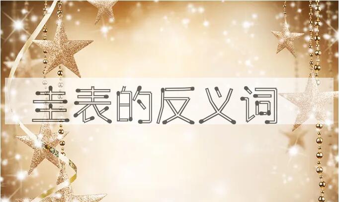 用圭表造句