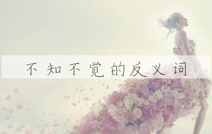 用不知不觉造句
