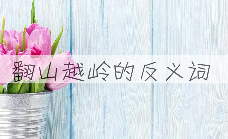 用翻山越岭造句