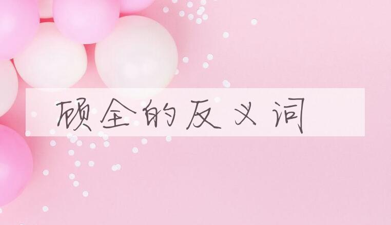 用顾全造句