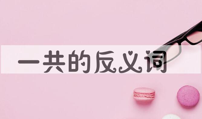用一共造句