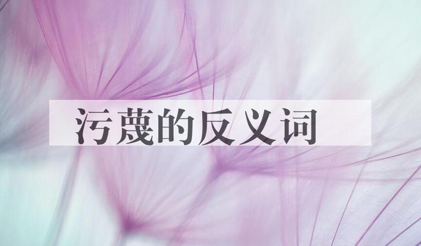 用污蔑造句