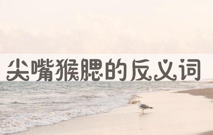 用尖嘴猴腮造句