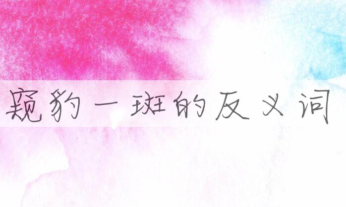 用窥豹一斑造句