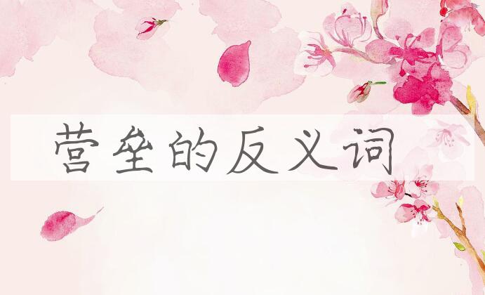 用营垒造句