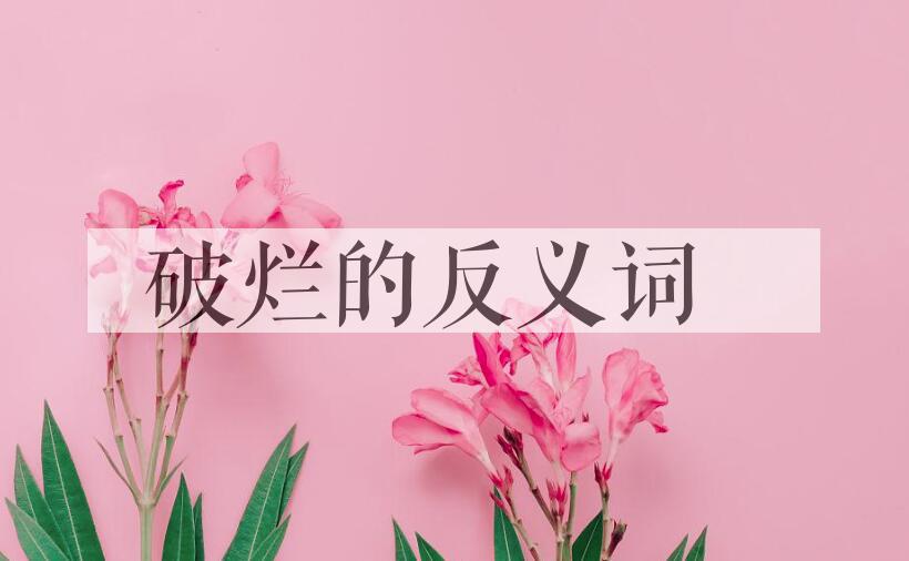 用破烂造句