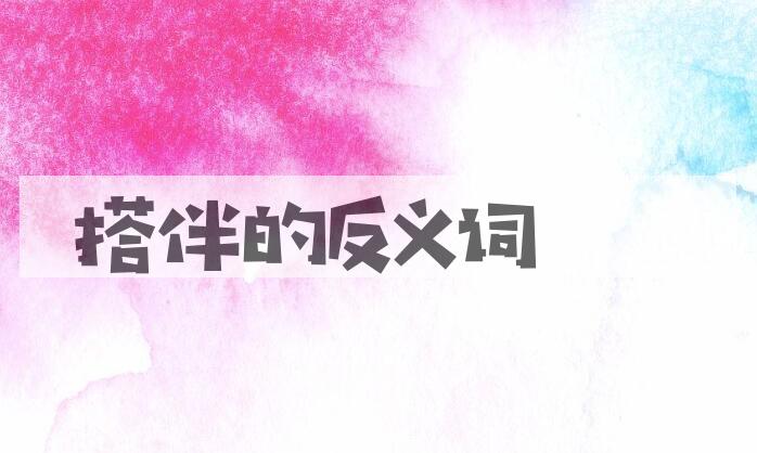 用搭伴造句