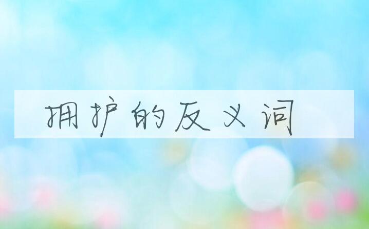 用拥护造句