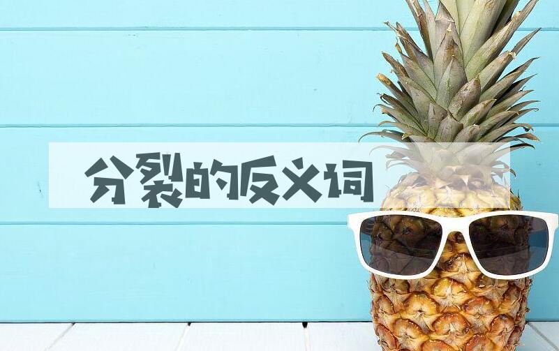 用分裂造句