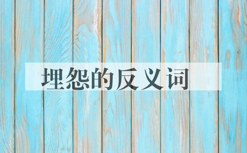 用埋怨造句