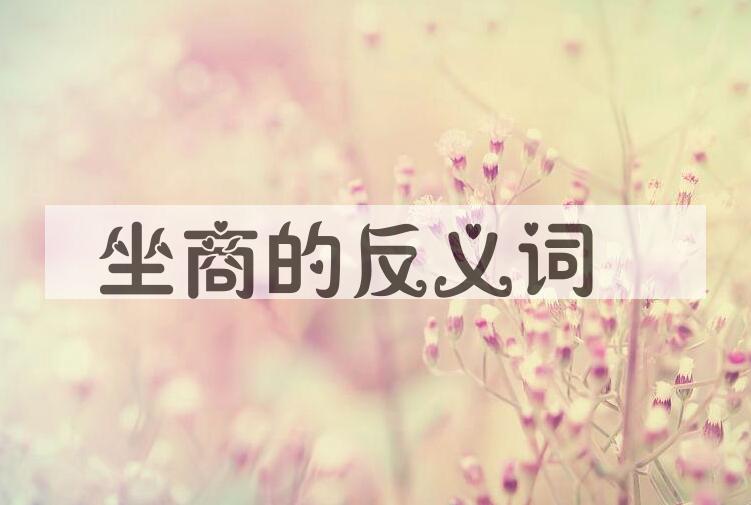 用坐商造句