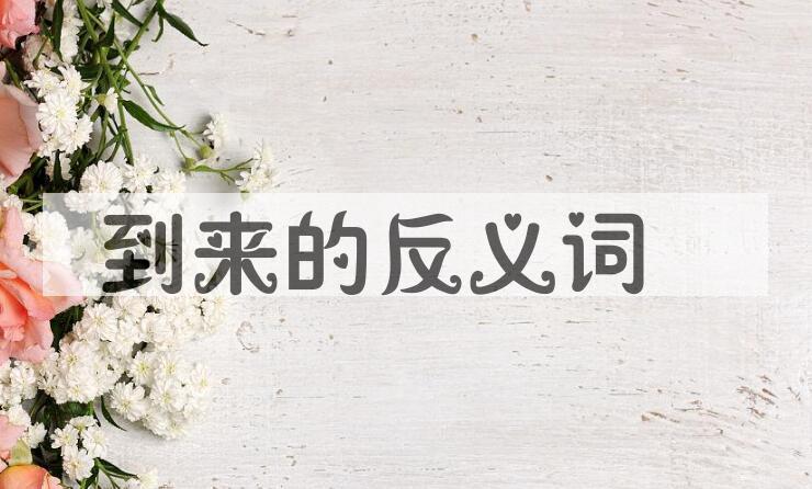 用到来造句
