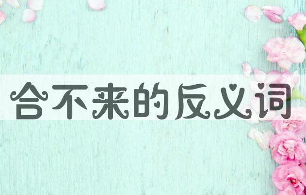 用合不来造句