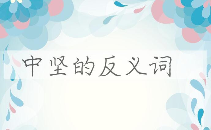 用中坚造句