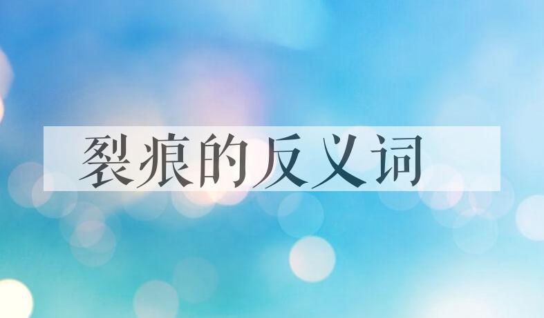 用裂痕造句