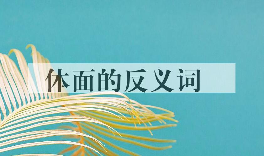 用体面造句