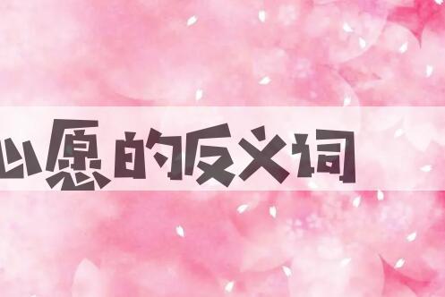 用心愿造句