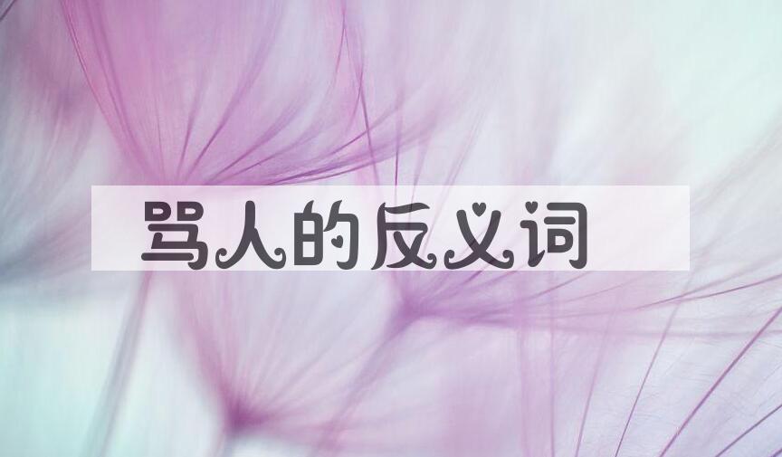用骂人造句
