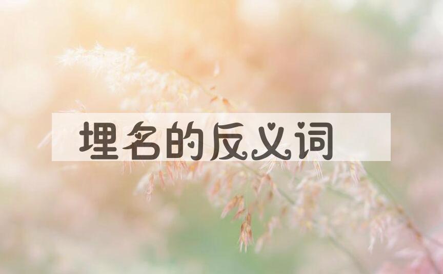 用埋名造句