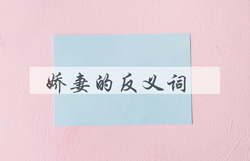用娇妻造句