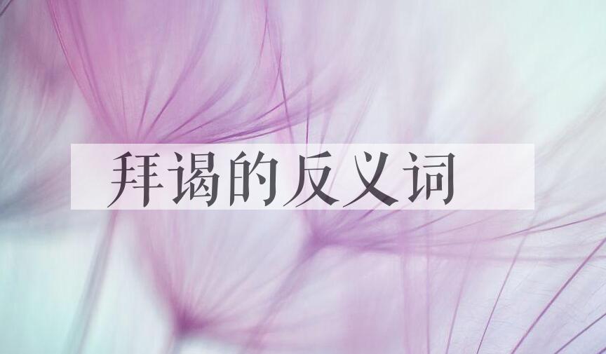 用拜谒造句
