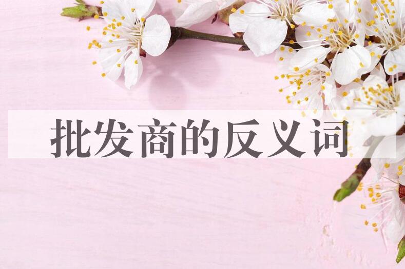 用批发商造句