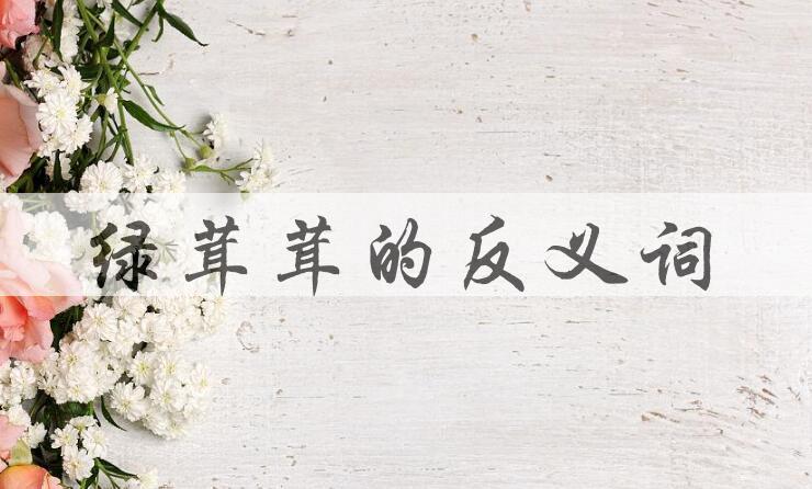 用绿茸茸造句