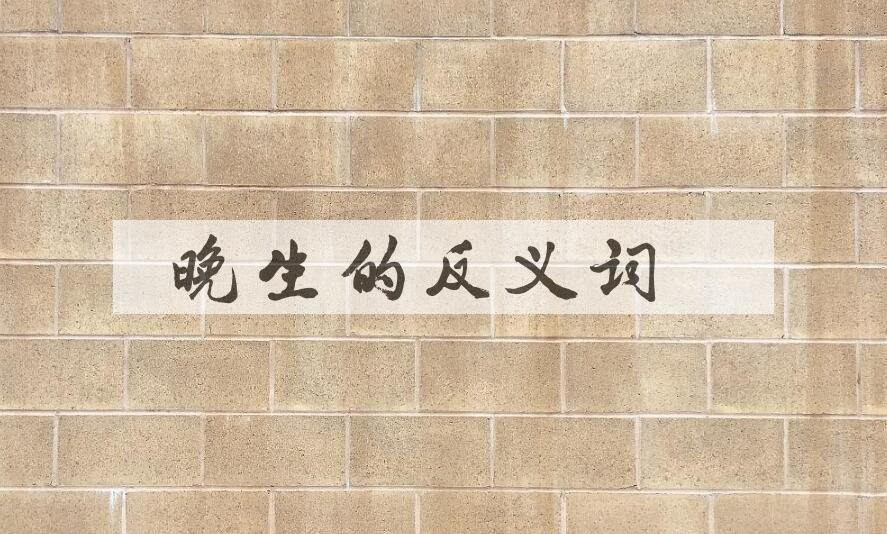 用晚生造句