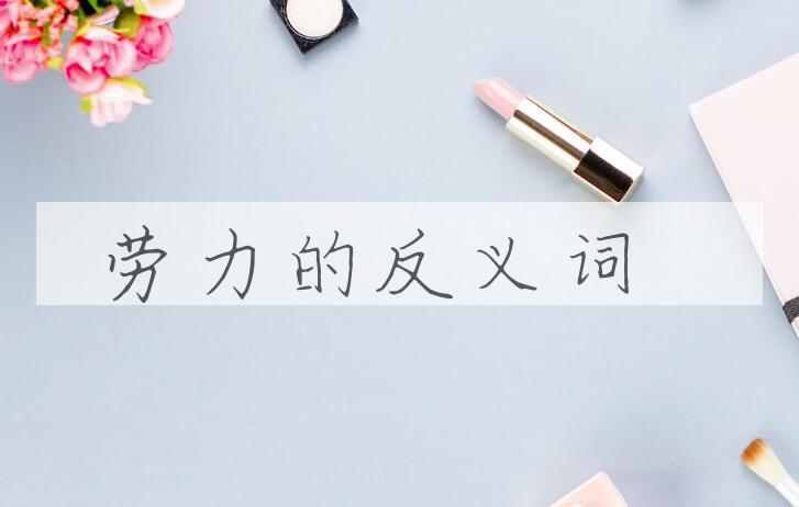 用劳力造句