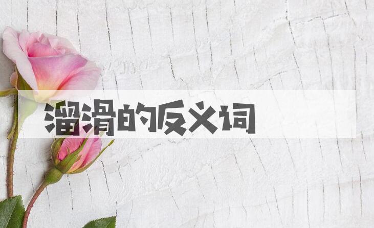 用溜滑造句