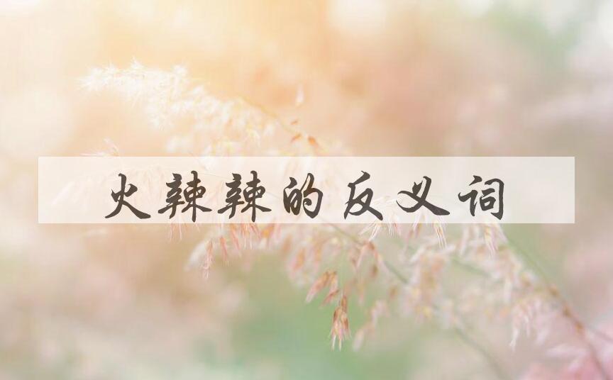 用火辣辣造句