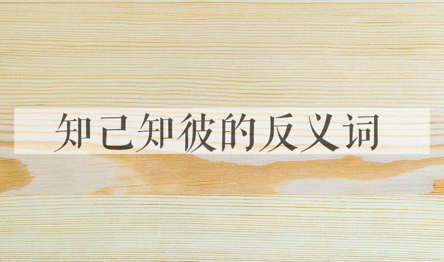 用知己知彼造句