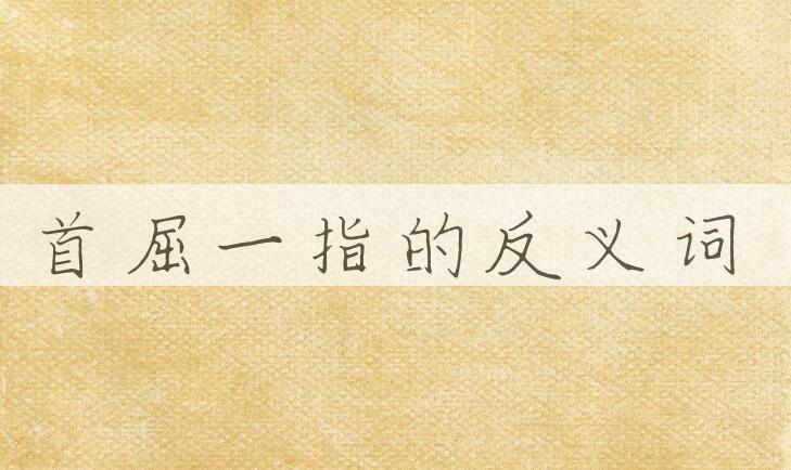 用首屈一指造句
