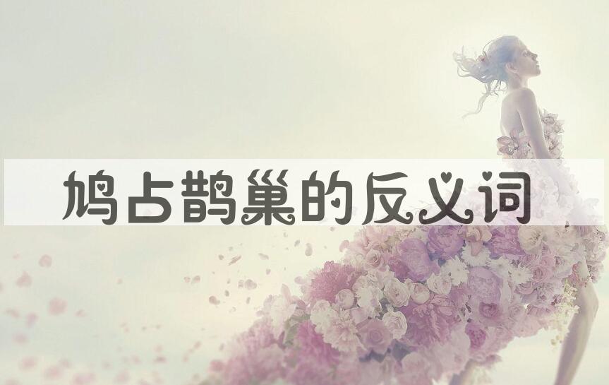 用鸠占鹊巢造句