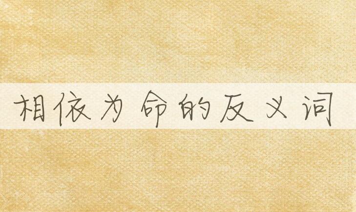 用相依为命造句
