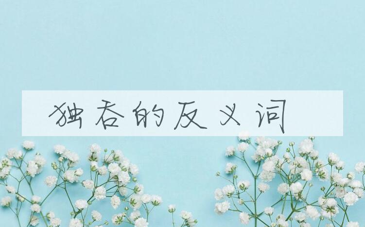 用独吞造句