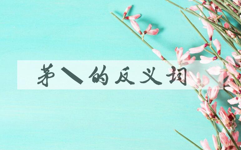 用茅棚造句
