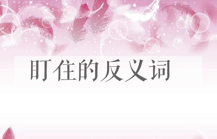 用盯住造句