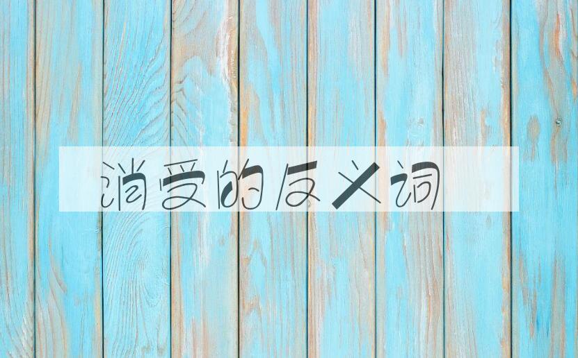 用消受造句