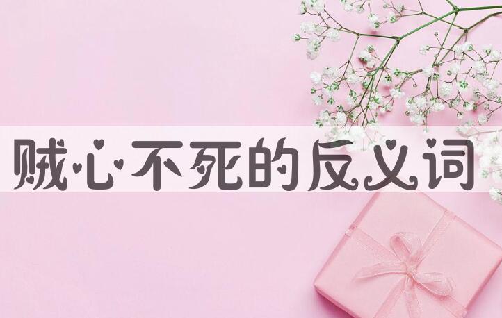 用贼心不死造句