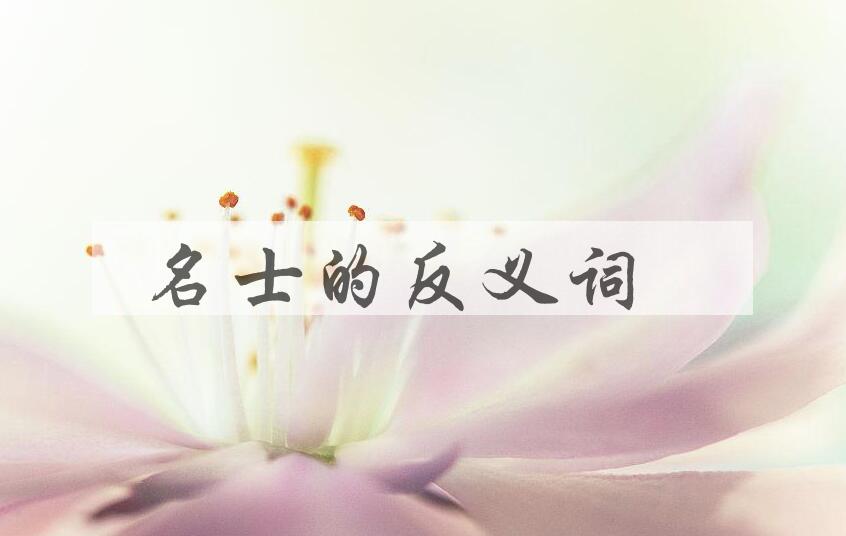 用名士造句